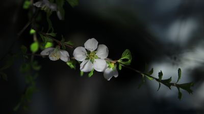 城市