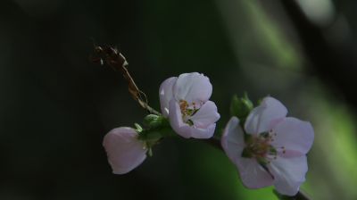 城市