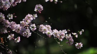 城市
