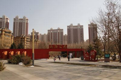 城市