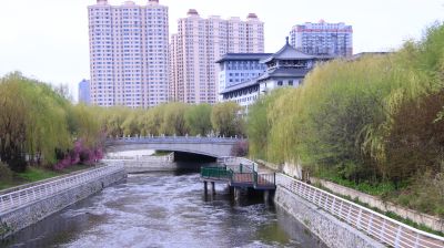 城市