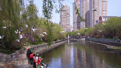 城市