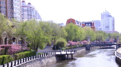 城市