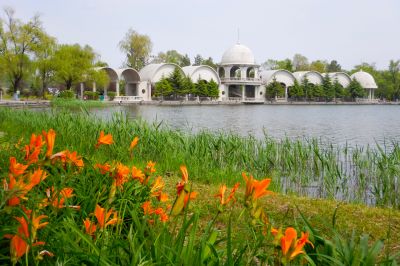 城市
