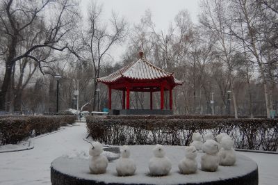 城市