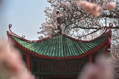 春天