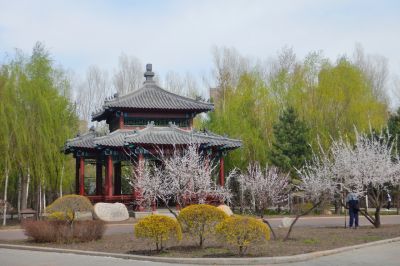 春天