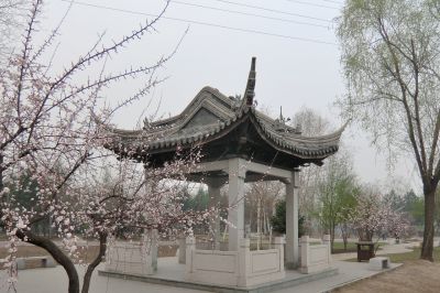 春天