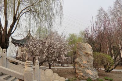 春天