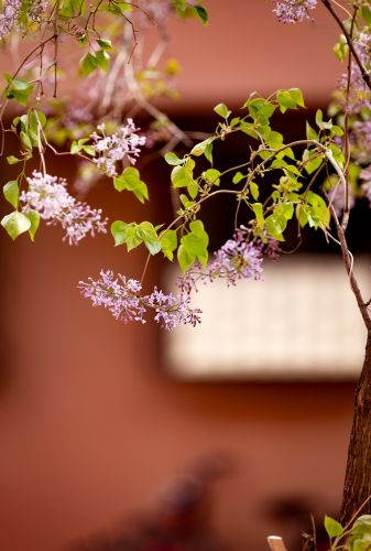 城市