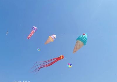 2024哈尔滨风筝音乐汇