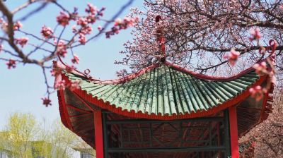 城市