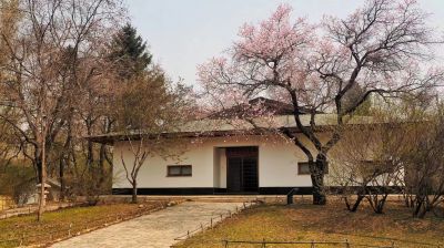 城市