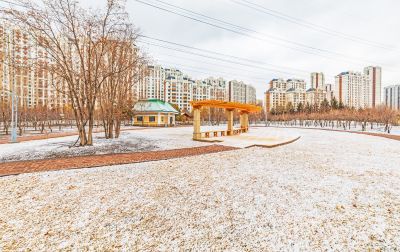 初春雪后群力健康生态园 