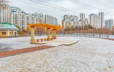 初春雪后群力健康生态园 