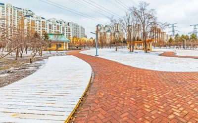 初春雪后群力健康生态园 