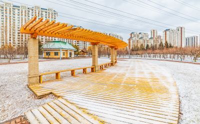 初春雪后群力健康生态园 