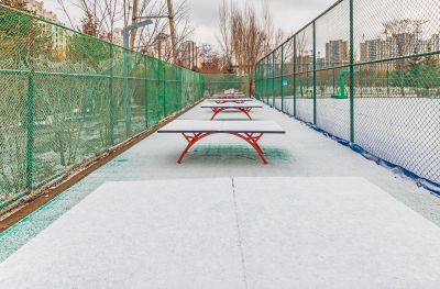 雪后群力健康生态园 