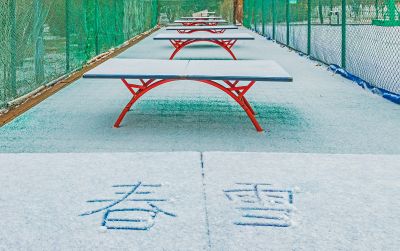 雪后群力健康生态园 
