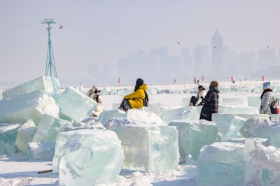 城市风景太阳岛公园雪博会