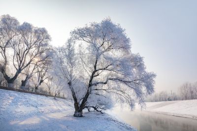 何家沟入江口雾凇图（1月份照片）