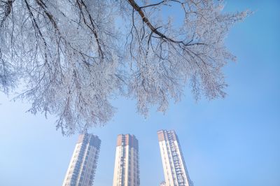 何家沟入江口雾凇图（1月份照片）