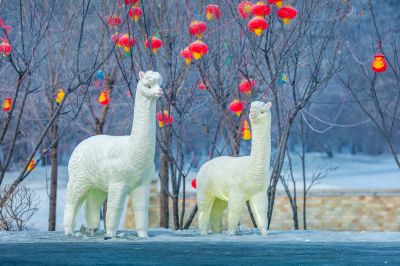 劳动公园冰雪彩灯乐园照片 （1月份照片）
