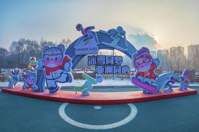 劳动公园冰雪彩灯乐园照片 （1月份照片）