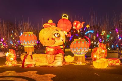 劳动公园冰雪彩灯乐园照片 （1月份照片）