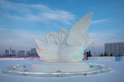 尔滨之心欢乐岛照片 （1月份照片）