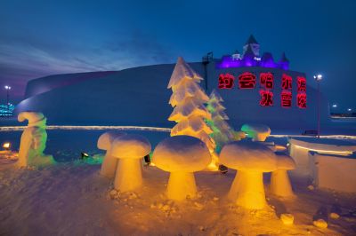 尔滨之心欢乐岛照片 （1月份照片）