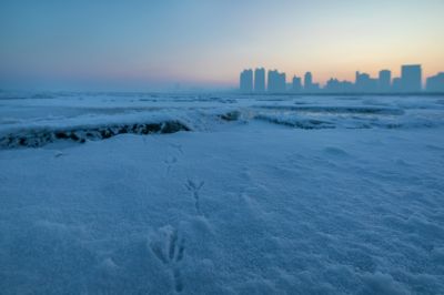 清晨的松花江 （1月份照片）采冰现场 残冰