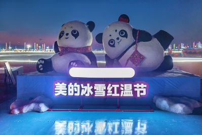松花江冰雪嘉年华掠影 （1月份照片）