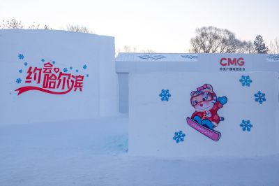 冬日太阳岛雪博会（1月份照片）