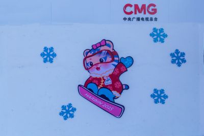 冬日太阳岛雪博会（1月份照片）
