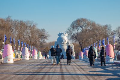 冬日太阳岛雪博会（1月份照片）