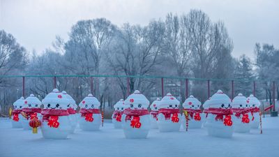 冬日太阳岛雪博会（1月份照片）