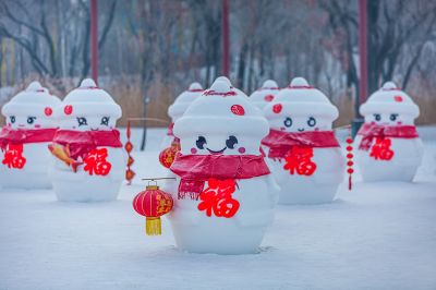 冬日太阳岛雪博会（1月份照片）