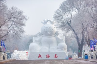 冬日太阳岛雪博会（1月份照片）
