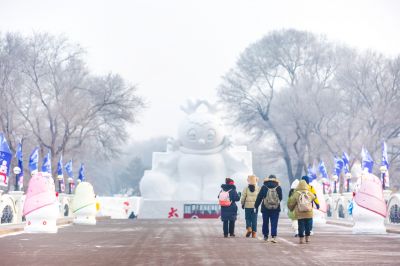 冬日太阳岛雪博会（1月份照片）