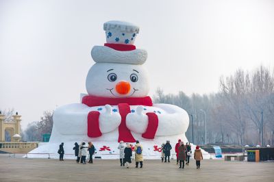 冬日太阳岛雪博会（1月份照片）