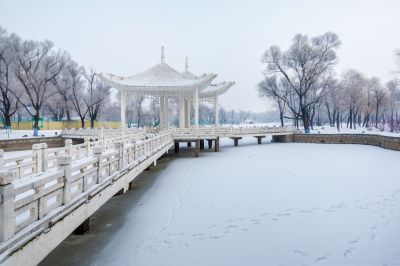 冬日太阳岛雪博会（1月份照片）