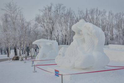 冬日太阳岛雪博会（1月份照片）