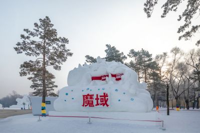 冬日太阳岛雪博会（1月份照片）