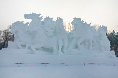 冬日太阳岛雪博会（1月份照片）