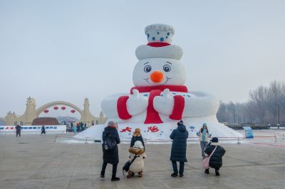 冬日太阳岛雪博会（1月份照片）
