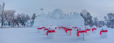 冬日太阳岛雪博会（1月份照片）