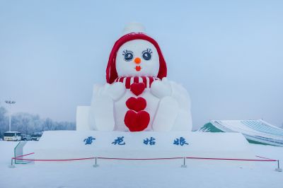 冬日太阳岛雪博会（1月份照片）