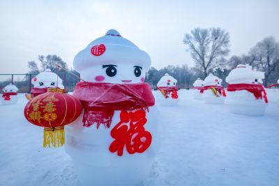 冬日太阳岛雪博会（1月份照片）