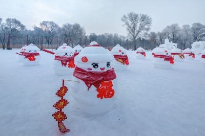 冬日太阳岛雪博会（1月份照片）